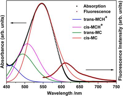 Conformational Selectivity of Merocyanine on Nanostructured Silver Films: Surface Enhanced Resonance Raman Scattering (SERRS) and Density Functional Theoretical (DFT) Study